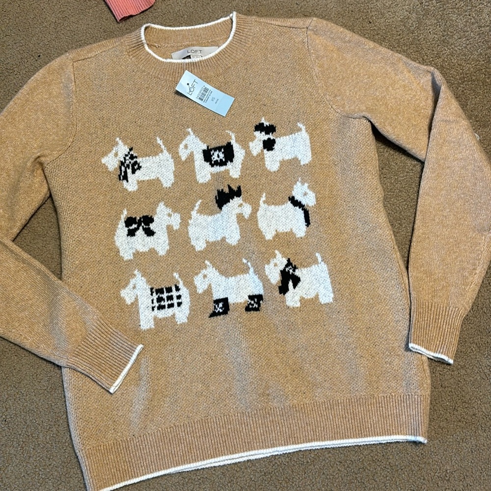 NWT loft sweater size XSP